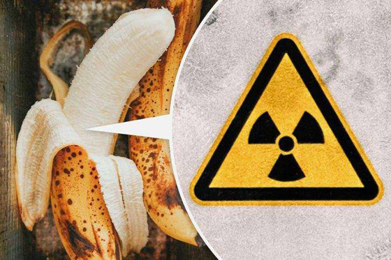 الباندا تدعي الحمل.. وحقائق عجيبة عن البشر والحيوانات صورة رقم 5