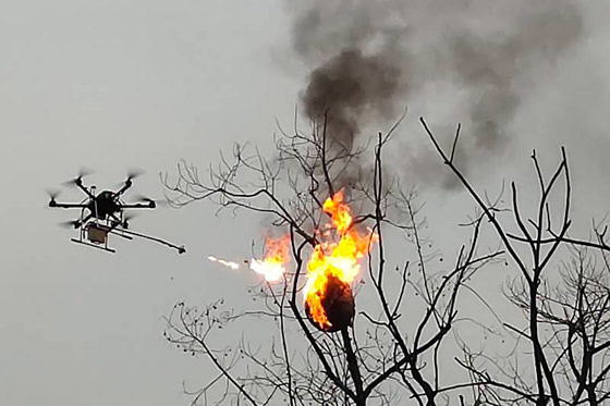 في الصين.. ضرب عش الدبابير بطائرة قاذفة للهب صورة رقم 1