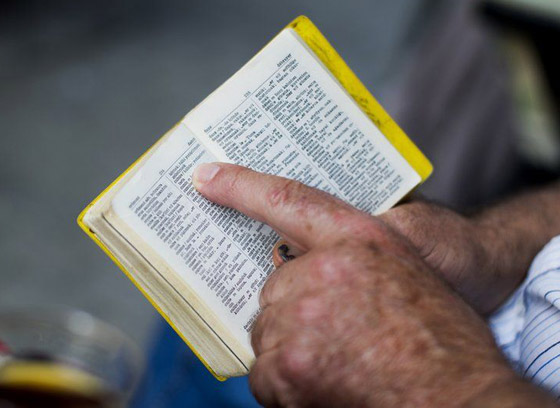 صورة رقم 3 - كم عدد الكلمات التي تحتاج إلى معرفتها لتتمكن من تعلم لغة أجنبية جديدة؟ صورة رقم 3 - كم عدد الكلمات التي تحتاج إلى معرفتها لتتمكن من تعلم لغة أجنبية جديدة؟