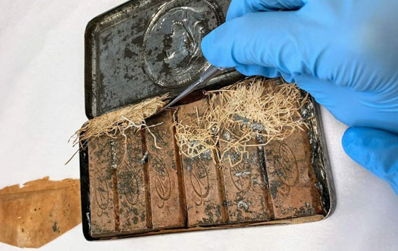 اكتشاف شوكولاتة عمرها 120 عاما.. وتناولها ممكن! صور صورة رقم 1 اكتشاف شوكولاتة عمرها 120 عاما.. وتناولها ممكن! صور صورة رقم 1