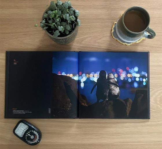 أفضل صورة لعام 2020.. بطريقان يتعانقان بعد مأساة! صورة رقم 3