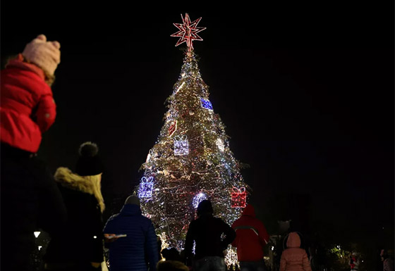 أكثر أشجار عيد الميلاد التقليدية وغير التقليدية روعة حول العالم في 2020 صورة رقم 26