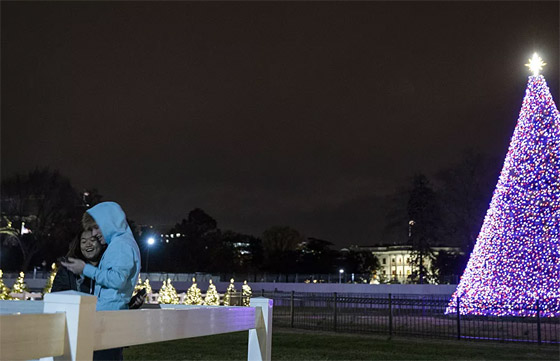 أكثر أشجار عيد الميلاد التقليدية وغير التقليدية روعة حول العالم في 2020 صورة رقم 27