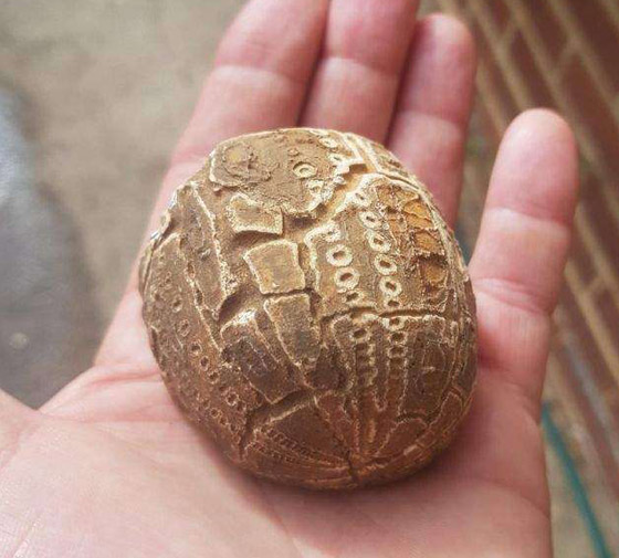 إليكم أشياء ثمينة وجدها البشر بالصدفة دون بحث! صور صورة رقم 9