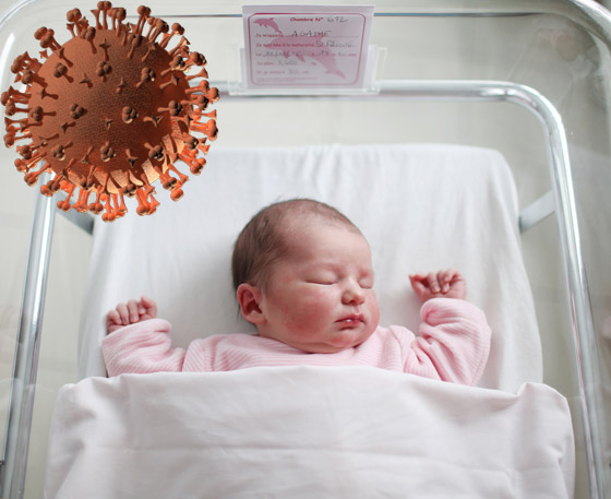 سرقة أوراق مراحيض وذيل حوت ينقذ قطار.. أخبار غريبة وطريفة في 2020 صورة رقم 2