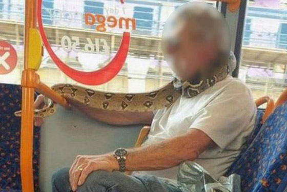 سرقة أوراق مراحيض وذيل حوت ينقذ قطار.. أخبار غريبة وطريفة في 2020 صورة رقم 3