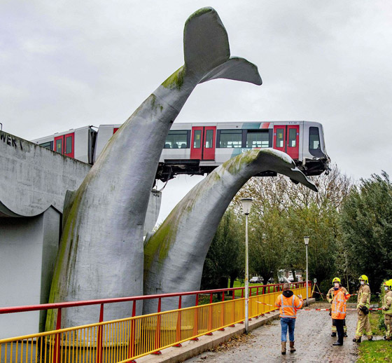 سرقة أوراق مراحيض وذيل حوت ينقذ قطار.. أخبار غريبة وطريفة في 2020 صورة رقم 5