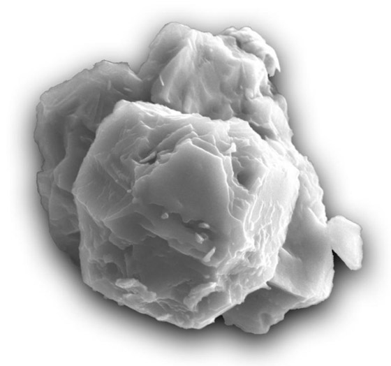 تعرفوا إلى أهم 10 إنجازات علمية في عام 2020 صورة رقم 1