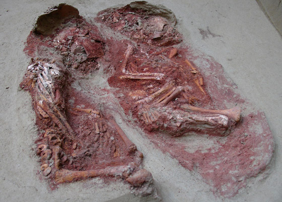 صور: إليكم 10 سجلات واكتشافات علمية قياسية مذهلة شهدها عام 2020 صورة رقم 5