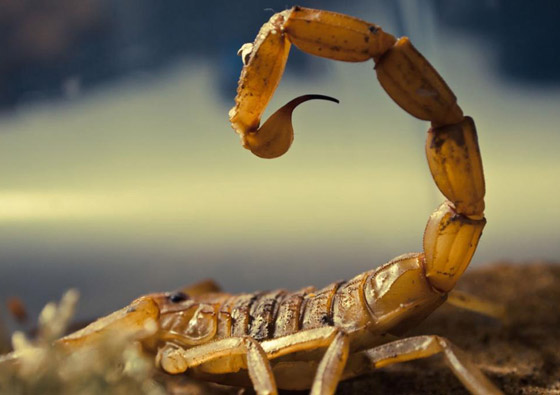 تعرفوا إلى أغلى السوائل في العالم.. بينها 35 مليون دولار للغالون الواحد! صورة رقم 1 تعرفوا إلى أغلى السوائل في العالم.. بينها 35 مليون دولار للغالون الواحد! صورة رقم 1