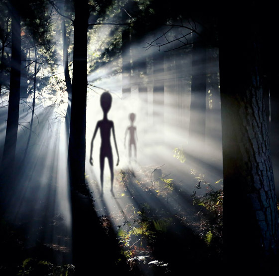 لماذا نميل لتصديق نظريات المؤامرة حول الكائنات الفضائية وما علاقة الجاثوم؟ صورة رقم 7