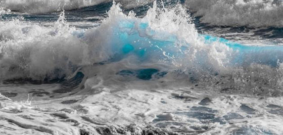 ما هو زبد البحر ومم يتكون؟ وما هي فوائده وأهميته؟ صورة رقم 5