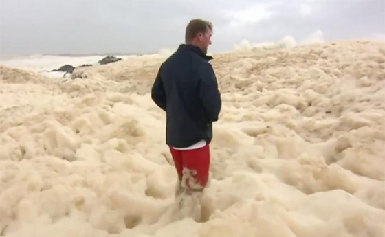 ما هو زبد البحر ومم يتكون؟ وما هي فوائده وأهميته؟ صورة رقم 3