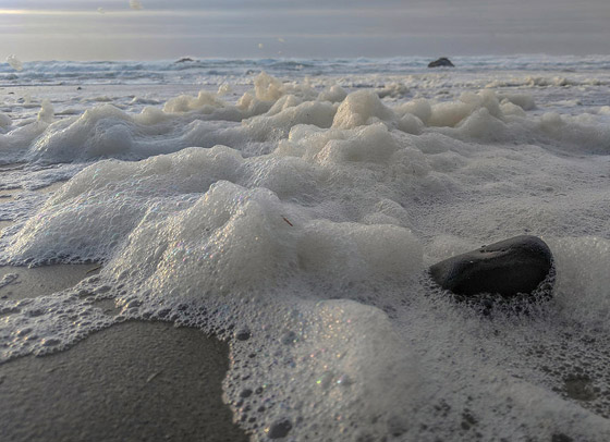 ما هو زبد البحر ومم يتكون؟ وما هي فوائده وأهميته؟ صورة رقم 8