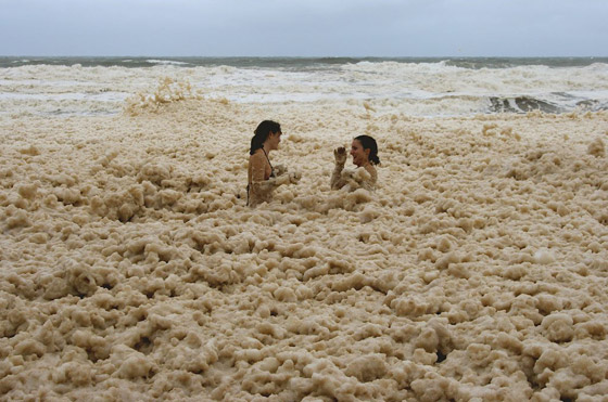 ما هو زبد البحر ومم يتكون؟ وما هي فوائده وأهميته؟ صورة رقم 9