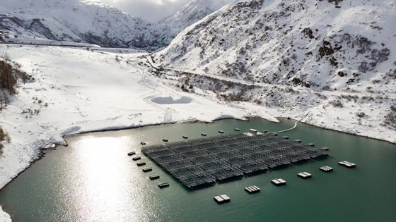 الطاقة الشمسية.. رخيصة، نظيفة ومتوفرة حيث تشرق الشمس صورة رقم 2