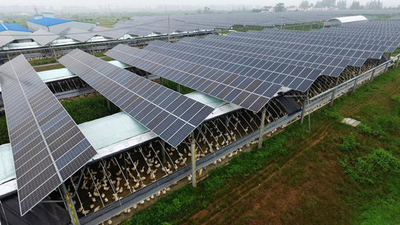 الطاقة الشمسية.. رخيصة، نظيفة ومتوفرة حيث تشرق الشمس صورة رقم 3