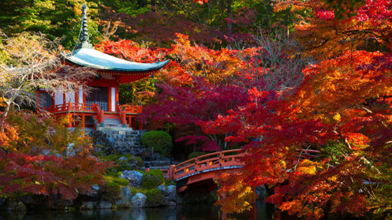 منها دبي ومصر.. إليكم قائمة بـ10 وجهات يمكنكم زيارتها في 2021 صورة رقم 9