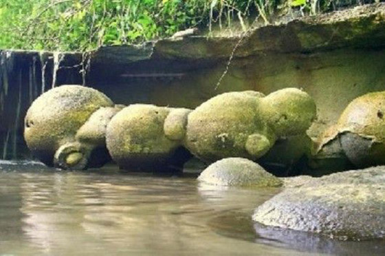 ظاهرة جيولوجية غريبة: أحجار طبيعية تنمو وتتحرك مثل كائن حي! صورة رقم 5