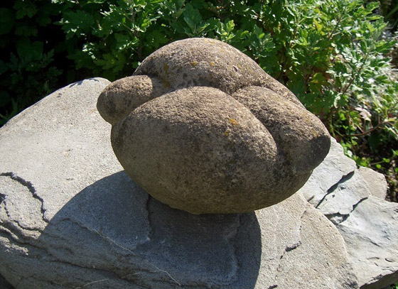 ظاهرة جيولوجية غريبة: أحجار طبيعية تنمو وتتحرك مثل كائن حي! صورة رقم 10