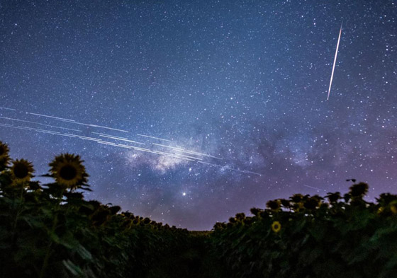 تعرفوا إلى أغرب الأشياء المثيرة للاهتمام التي سقطت من السماء صورة رقم 2