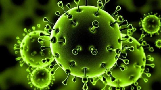 الأحداث العلمية المتوقعة في 2021 صورة رقم 2