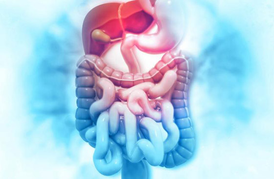 ظاهرة الاحتراق الذاتي بين الخيال والحقيقة! ما نظريات العلماء لحدوثها؟ صورة رقم 6