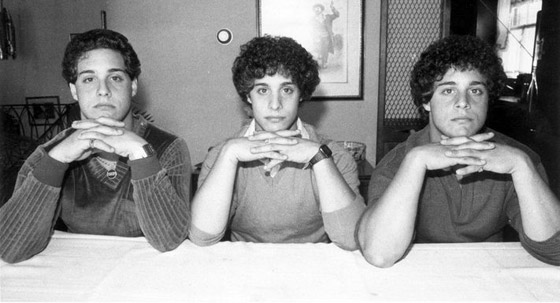 قصة التوائم الثلاثة الذين فُصلوا عن بعضهم كجزء من تجربة علمية مجنونة صورة رقم 14