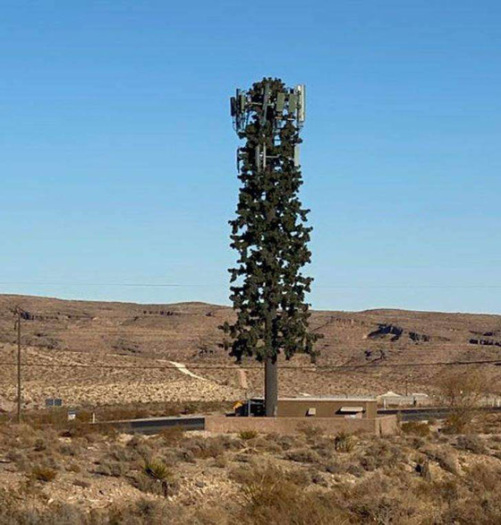 صور ملفتة لأشياء أثارت اندهاش البشر صورة رقم 3