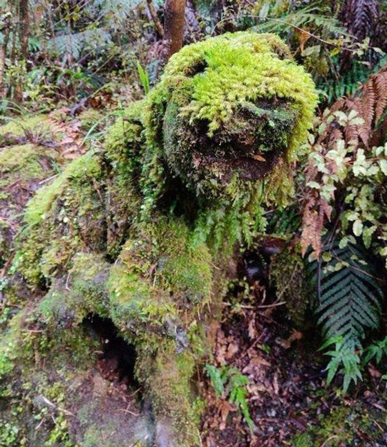 صور ملفتة لأشياء أثارت اندهاش البشر صورة رقم 4