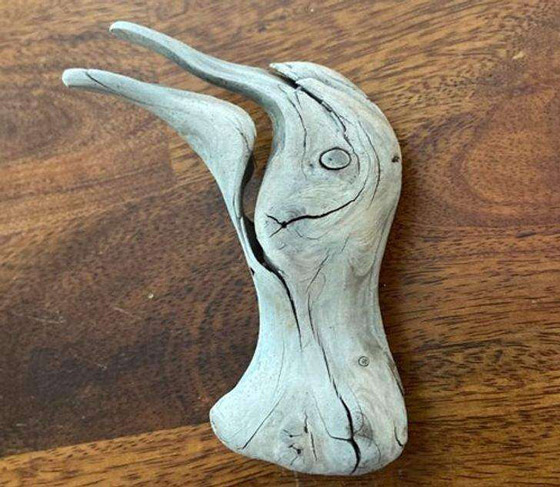 صور ملفتة لأشياء أثارت اندهاش البشر صورة رقم 5