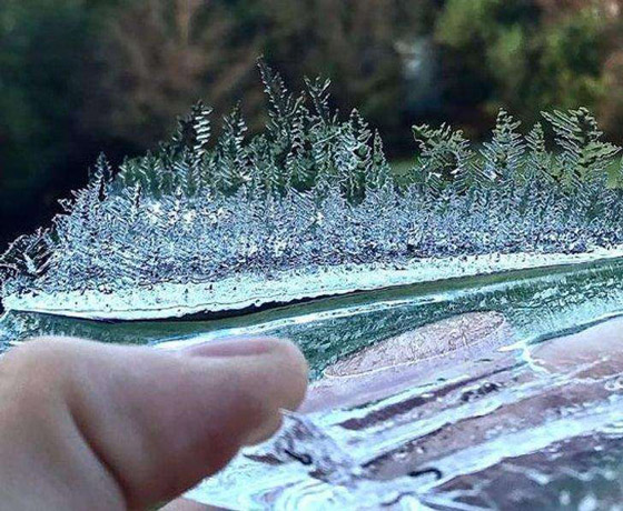 صور ملفتة لأشياء أثارت اندهاش البشر صورة رقم 6