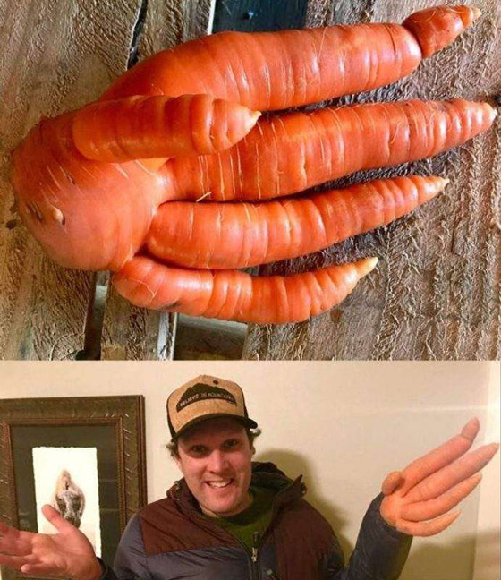 صور ملفتة لأشياء أثارت اندهاش البشر صورة رقم 8