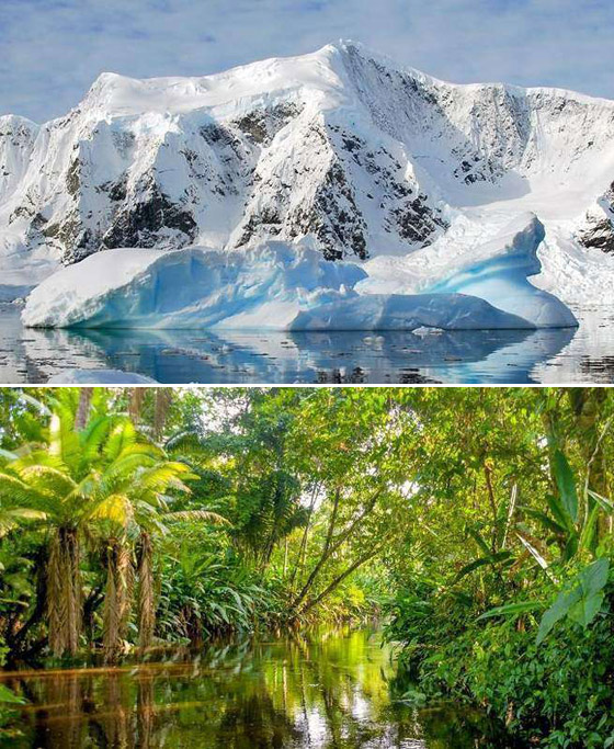 بالصور: تعرفوا إلى أغرب الأشياء العجيبة التي شكلت لغزا للعلماء! صورة رقم 2