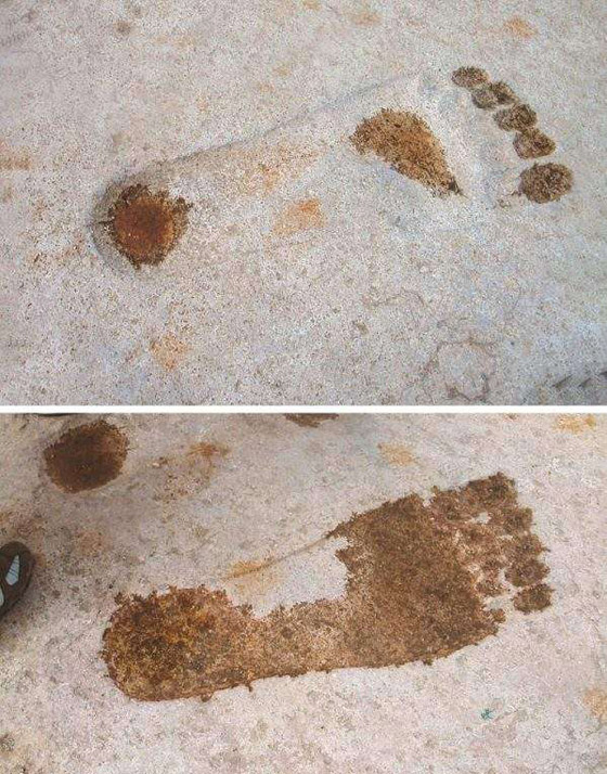 بالصور: تعرفوا إلى أغرب الأشياء العجيبة التي شكلت لغزا للعلماء! صورة رقم 5