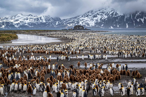 إليكم أجمل الأماكن المذهلة حول العالم.. وكأن اليد البشرية لم تمسّها بعد! صورة رقم 7