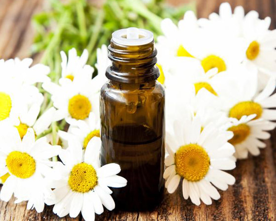 استُخدم منذ آلاف السنين.. ماذا تعرف عن العلاج بالروائح والزيوت العطرية؟ صورة رقم 8 استُخدم منذ آلاف السنين.. ماذا تعرف عن العلاج بالروائح والزيوت العطرية؟ صورة رقم 8