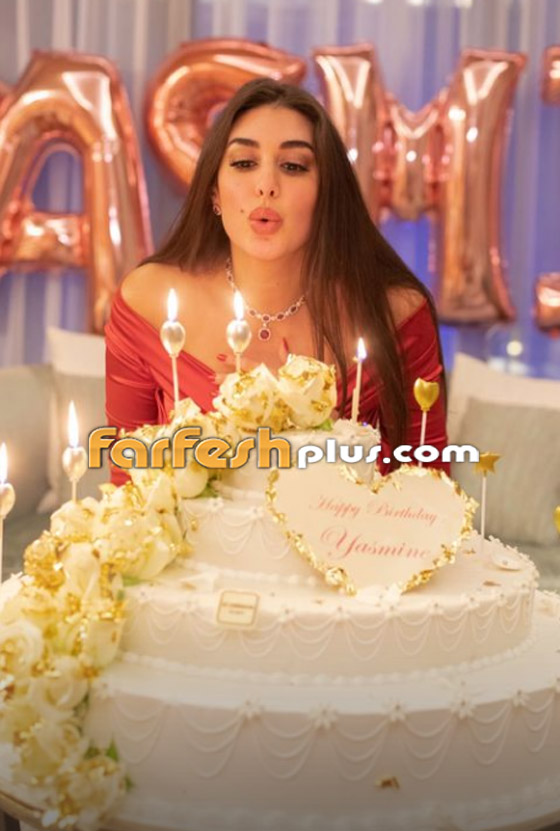 أحمد أبو هشيمة يقيم حفلا ضخما لياسمين صبري بمناسبة عيد ميلادها صورة رقم 10