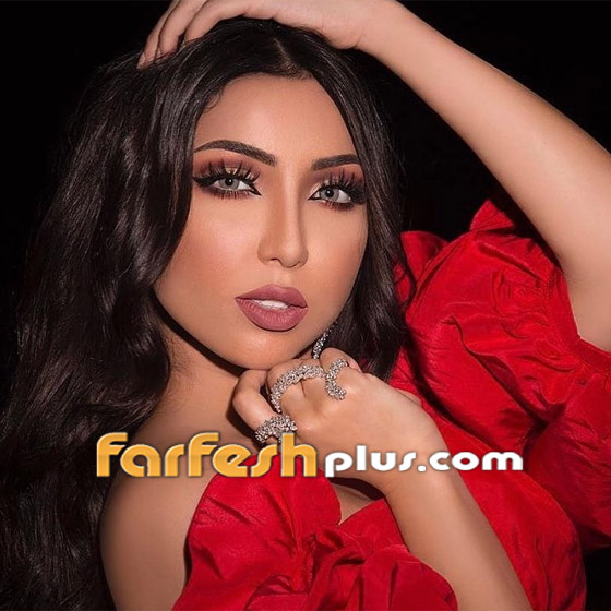 فيديو: دنيا بطمة متهمة بسرقة صورة طفلة امريكية ونشرها على انها صورة ابنتها هي!  صورة رقم 3