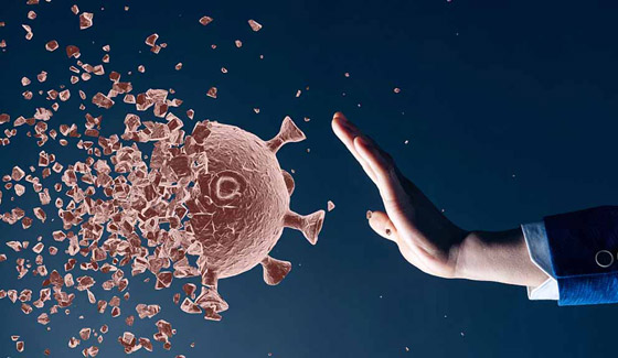 تعرفوا على الفيروسات والبكتيريا التي تلتهم أمراض الإنسان! صورة رقم 8