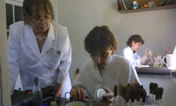 تعرفوا على الفيروسات والبكتيريا التي تلتهم أمراض الإنسان! صورة رقم 2