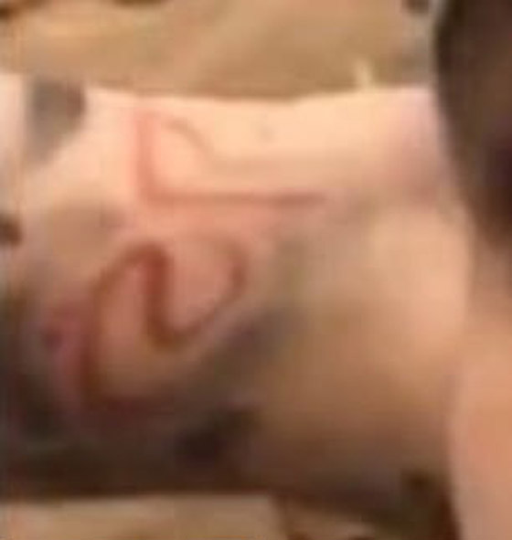 زين مالك يحتفل بطفلته من جيجي حديد بوشم جديد باللغة العربية صورة رقم 5 زين مالك يحتفل بطفلته من جيجي حديد بوشم جديد باللغة العربية صورة رقم 5