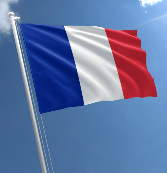 صور: تعرفوا إلى تاريخ أبرز ألوان أعلام دول أوروبا وأسرارها! صورة رقم 2