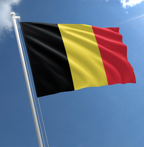 صور: تعرفوا إلى تاريخ أبرز ألوان أعلام دول أوروبا وأسرارها! صورة رقم 8