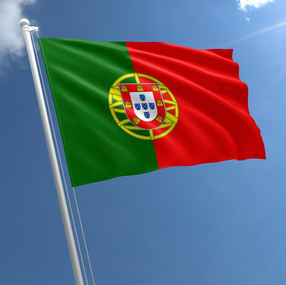 صور: تعرفوا إلى تاريخ أبرز ألوان أعلام دول أوروبا وأسرارها! صورة رقم 12