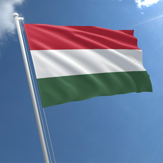 صور: تعرفوا إلى تاريخ أبرز ألوان أعلام دول أوروبا وأسرارها! صورة رقم 13