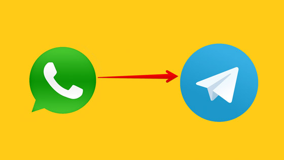 من واتساب إلى تليغرام.. خطوات سهلة لنقل محادثاتك صورة رقم 1