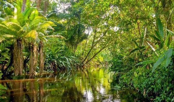 وحش المعبد السوري.. وأغرب الأشياء التي شكلت لغزا للعلماء صورة رقم 2