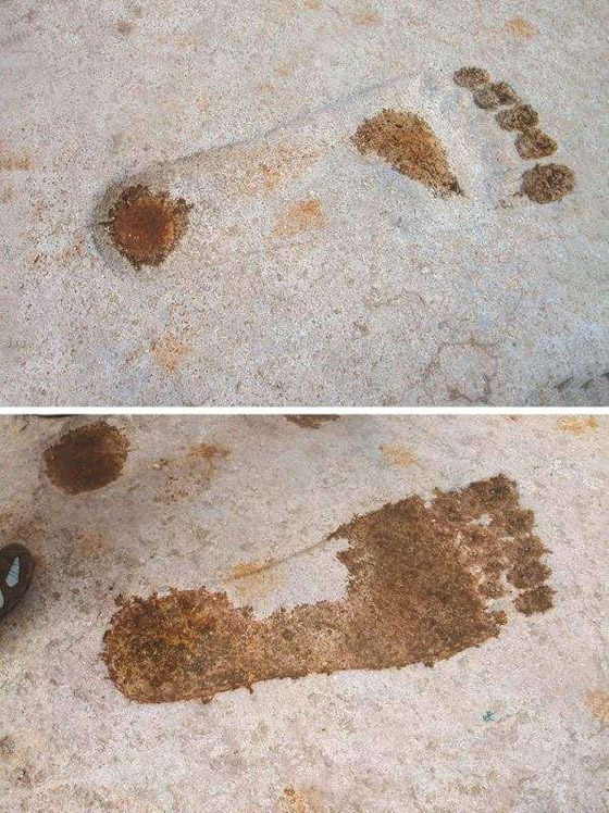 وحش المعبد السوري.. وأغرب الأشياء التي شكلت لغزا للعلماء صورة رقم 5