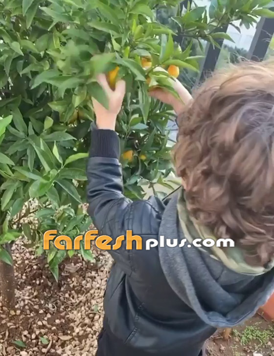فيديو: ميريام فارس مع ابنها.. ماذا يفعلان في حديقة منزلهما؟ صورة رقم 1